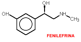 http://www.iqb.es/cbasicas/farma/farma04/formulas/fenilefrina.jpg