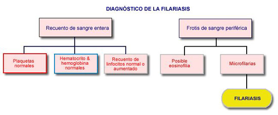 Esquema diagnstico de la filariasis